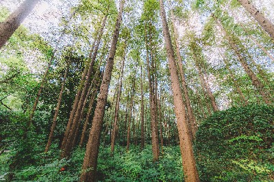 水土保持�Ҏ��